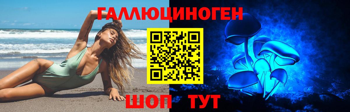 Галлюциногенные грибы Psilocybe  Вход с VPN  Соликамск 